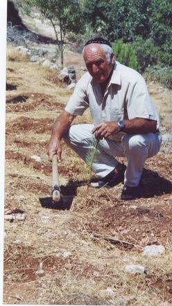 Cor in Israël