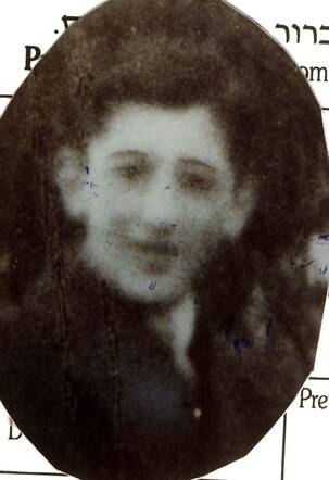 Raphael Hermann Biegeleisen