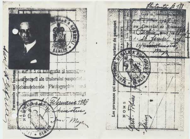 Adolf Safir