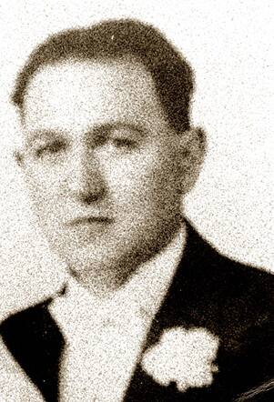 Salomon David van Emden