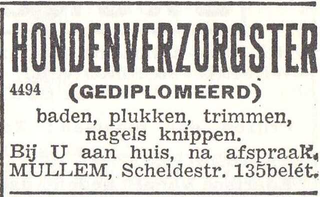Advertentie van Sarita Carry Mullem