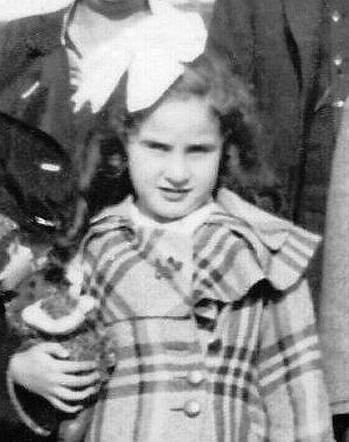 Rozetta van der Stam