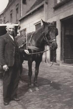 David Vleeschhouwer