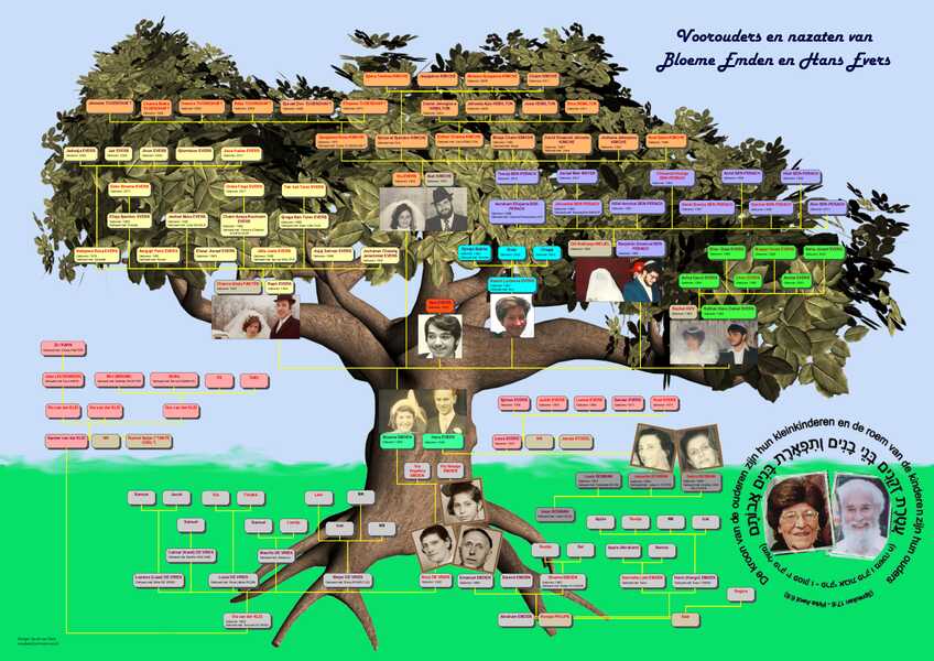 Stamboom Emden en Evers