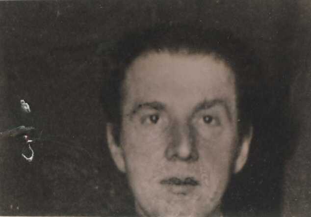 Siegfried Stein