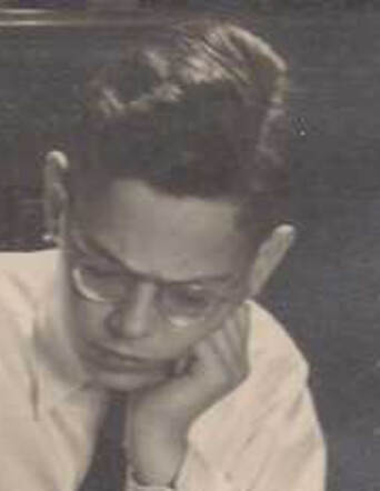 Theodoor Heijmans (cutting)