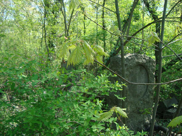 Veld 24 op Joodse begraafplaats Wroclaw
