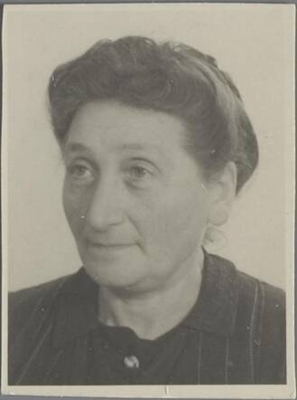 Virginie Frank-Hertog