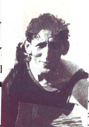 Michel de Vries