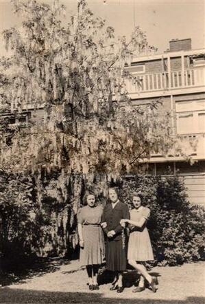 The Wachtel women