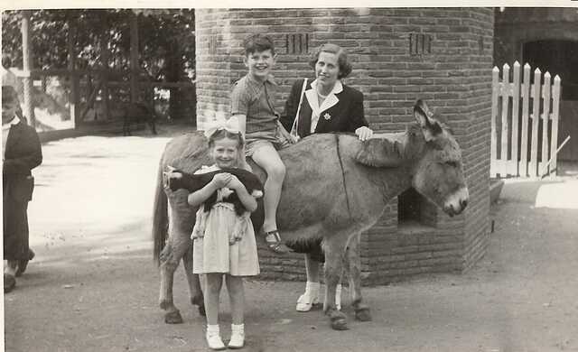 Wicky, Frank en Puck in Artis 1950
