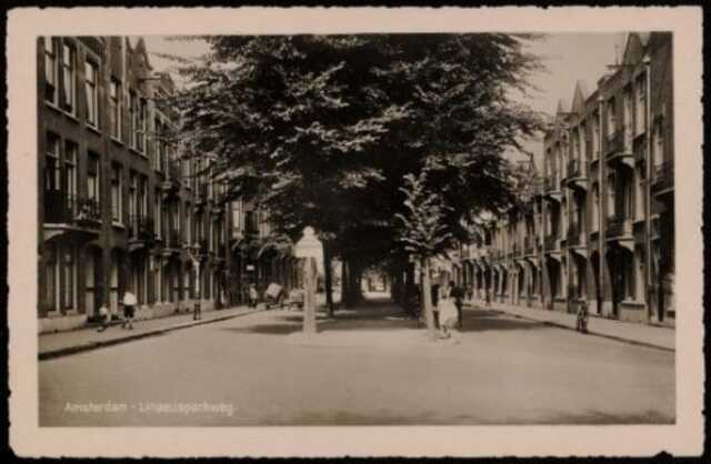 Linnaeusparkweg.