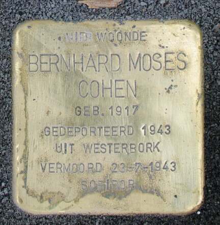 Bernhard Mozes Cohen