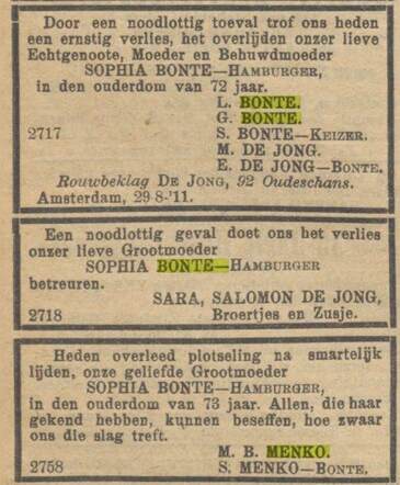 Bron: NIW 1-9-1911