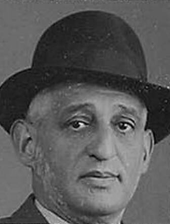 Wolf Cohen 