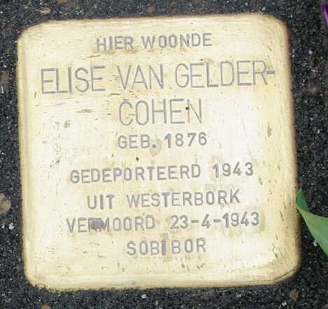 Elise van Gelder-Cohen