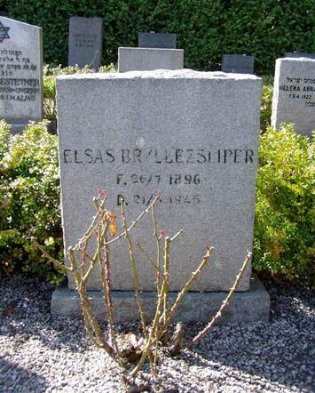 Elsas-Brilleslijper K_2005