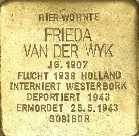Frieda van der Wijk