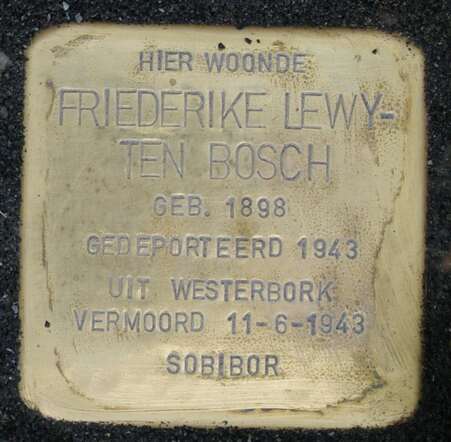 Friederike Lewy-ten Bosch