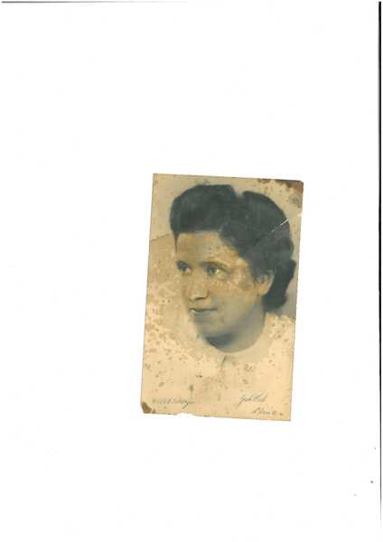 Grote Wil Amsterdam 1941