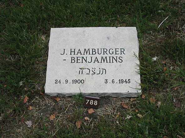 J_HamburgerBenjamins