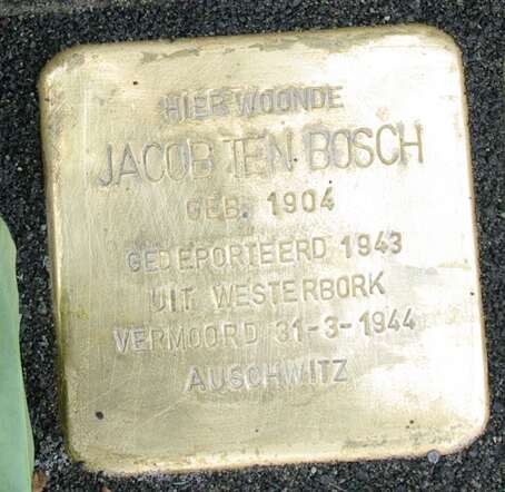 Jacob ten Bosch