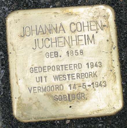 Johanna Cohen-Juchenheim