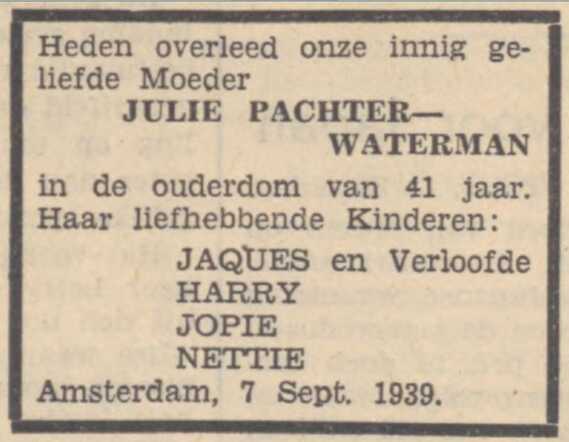 Julie Pachter - Waterman
