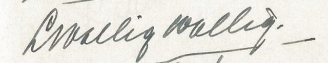 L. Wallig-Wallig