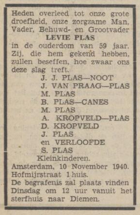 Levie Plas