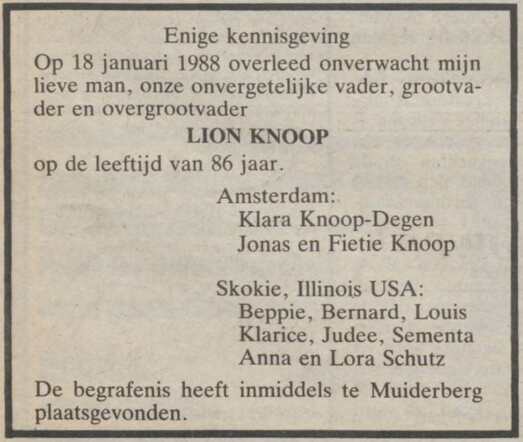 Lion Knoop