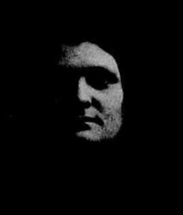 Rebecca Papegaai