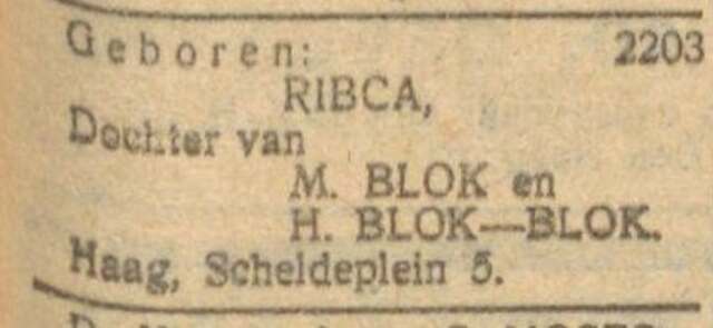 Ribca Blok