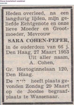 Sara Cohen-Peper