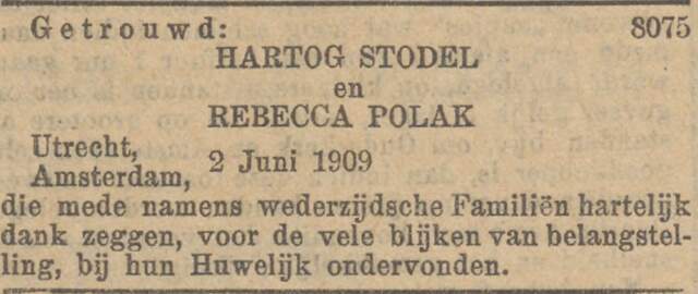 Stodel Polak