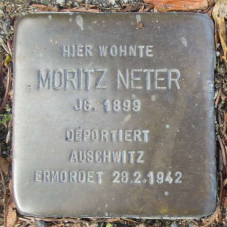 Moritz Neter