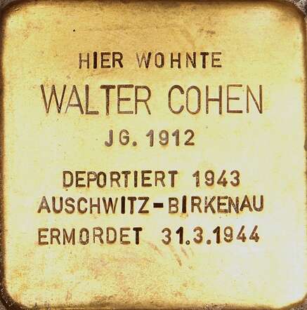 Walter Cohen