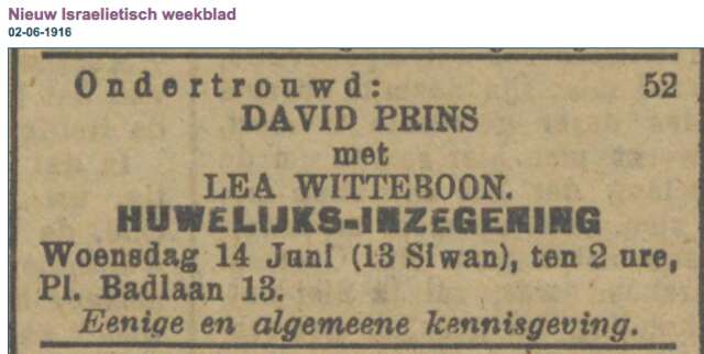 Prins-Witteboon