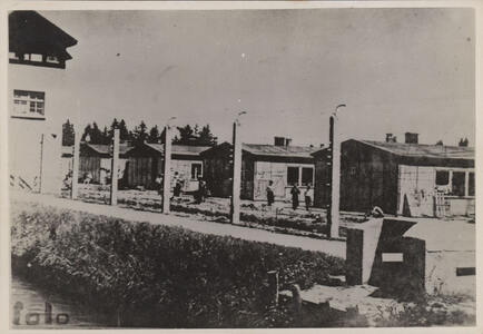 Bergen-Belsen na de bevrijding