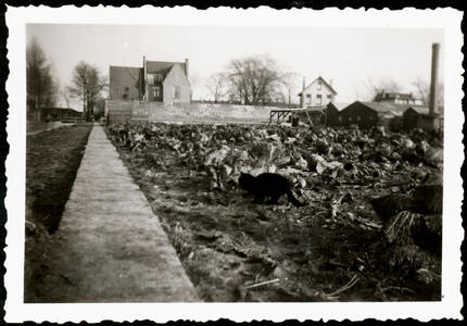 Joodse Jeugdfarm Gouda 