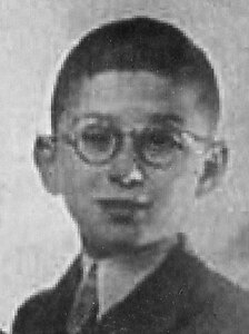 jopie cohen