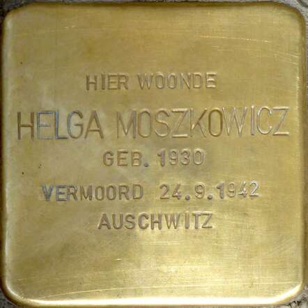 struikelsteen Moszkowicz