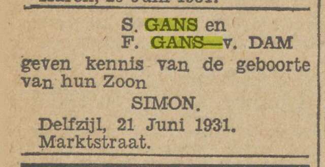 gans.png