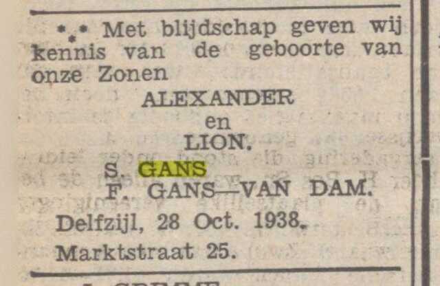 gans6.png
