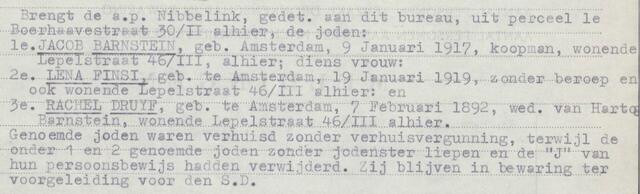 barnstein finsi druyf.jpg