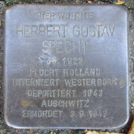 Stolperstein_Maria-Louisen-Straße_2_(Herbert_Gustav_Specht)_in_Hamburg-Winterhude.jpg