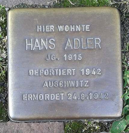 Adler - Stolperstein Lüdinghausen.jpg