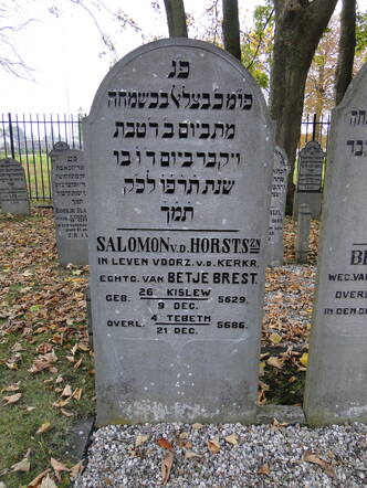 127 Salomon van der Horst.JPG