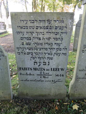 030 Marcus Mozes  de Leeuw.JPG