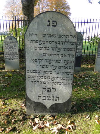 090 Mozes de Leeuw.JPG